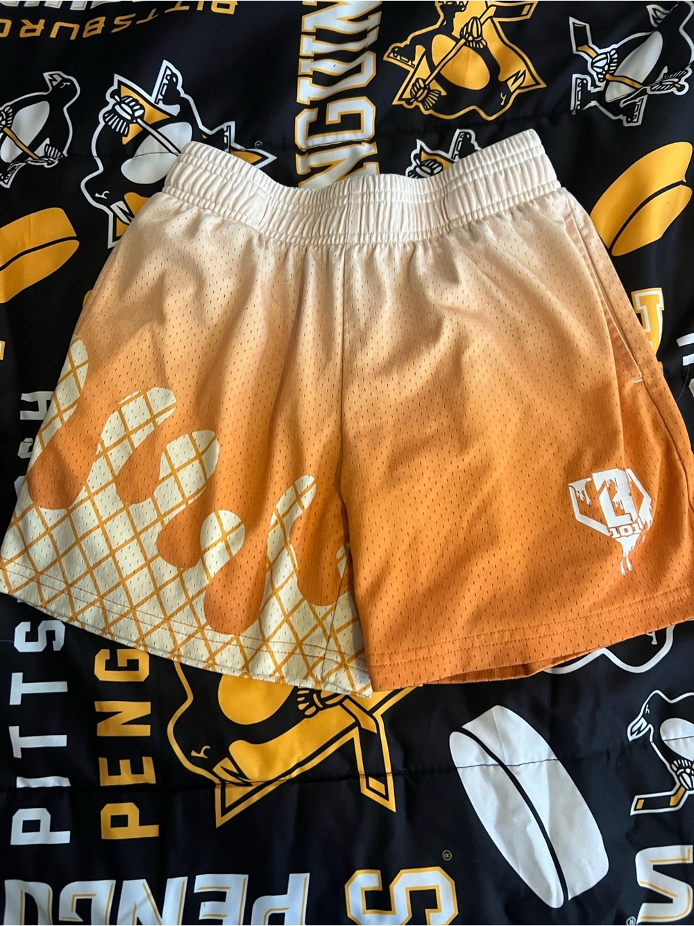 Youth Baseball Lifestyle Shorts